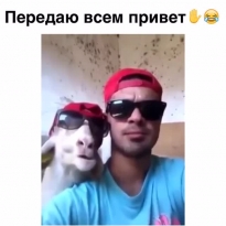 Настоящая пара - как две капли)
