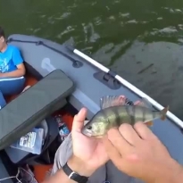 Почему не стоит брать IPad на рыбалку