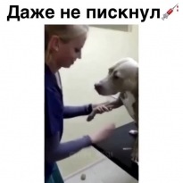 Не какждый человек так может