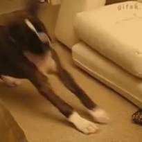 Speed-Metal