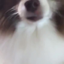 Аффф!