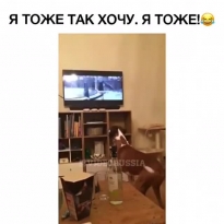 Я тоже так хочу