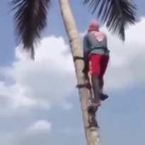 А я всё пузо ободрал! )))