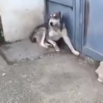 Не ори на детей!