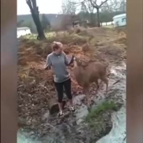 Как он определяет, что это самка? )))