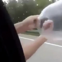 Big Condom