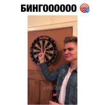 Бинго