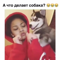 Пёс - Thug Life