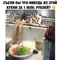 Кухня для экстремалов 