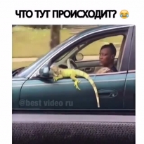 Что тут происходит?!