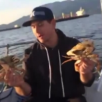 Crab