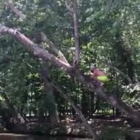 Когда провёл всё лето у бабули