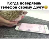 Такому другу можно доверять