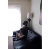 Что это?