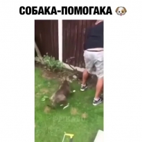 Помощник