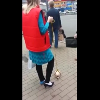 Мы живём в сумасшедшем мире