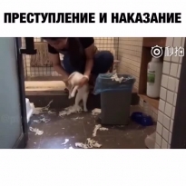 Преступление и наказание