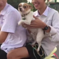 Ааа, не успеваю за асфальтом)))