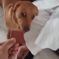 "Фу, как вы это жрёте?!"