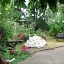 Как оживить скучные будни