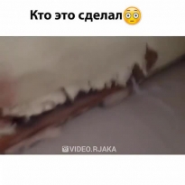 Кто это сделал?!