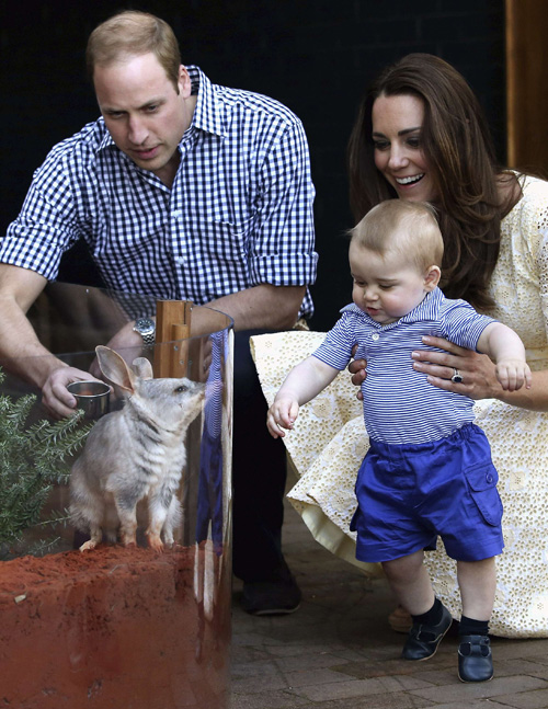 кейт миддлтон и принц уильям последние новости апрель 2014