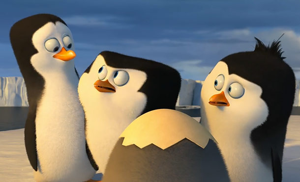 пингвины мадагаскара