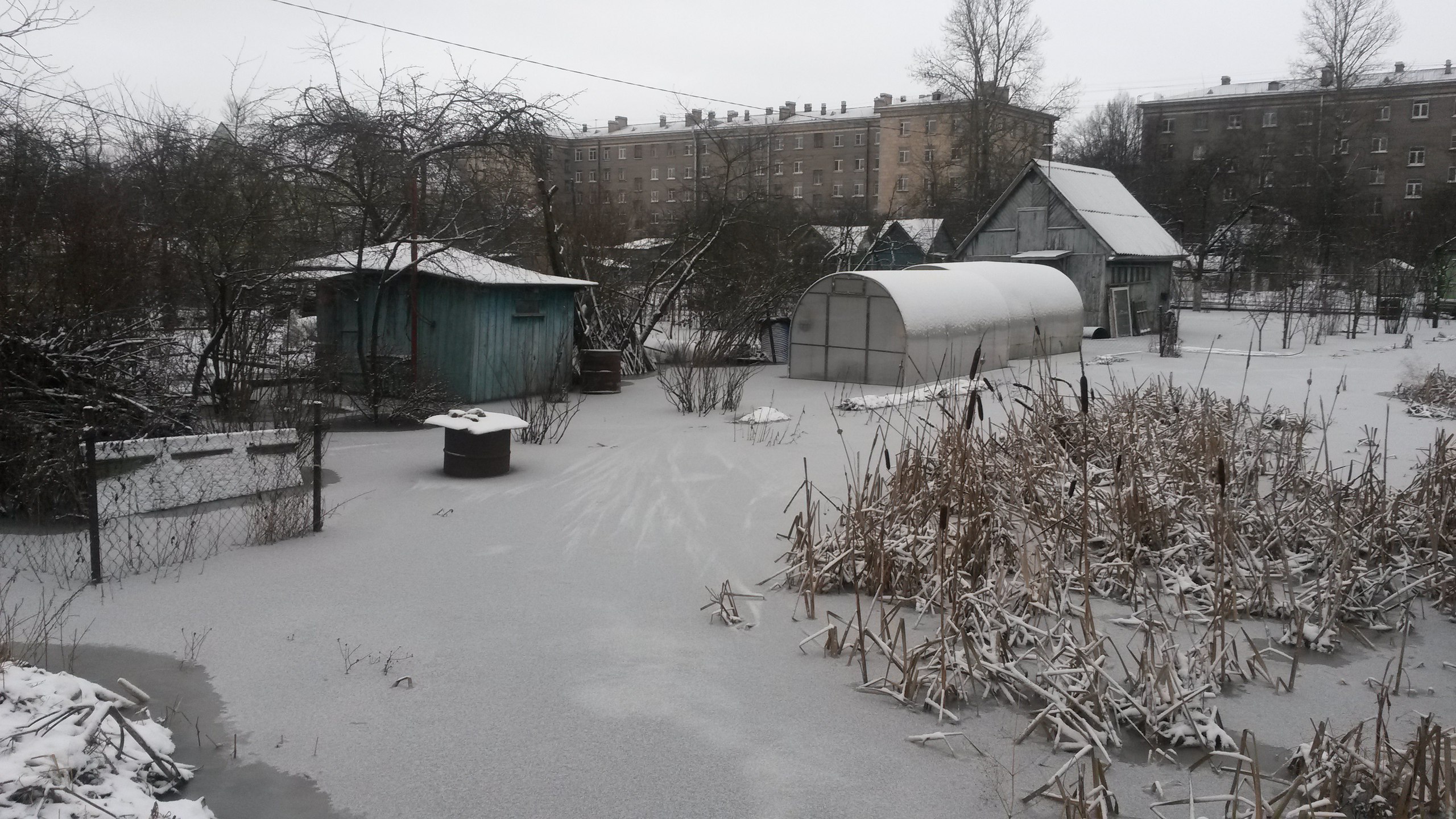 Садовые участки в Колпино сковал лед из-за затопления
