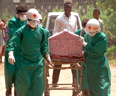 лихорадка эбола последние новости