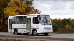 Транспортная компания из Гатчины взыскала 5,5 млн рублей с "Национального оператора общественного транспорта" за отказ от ремонта автобусов