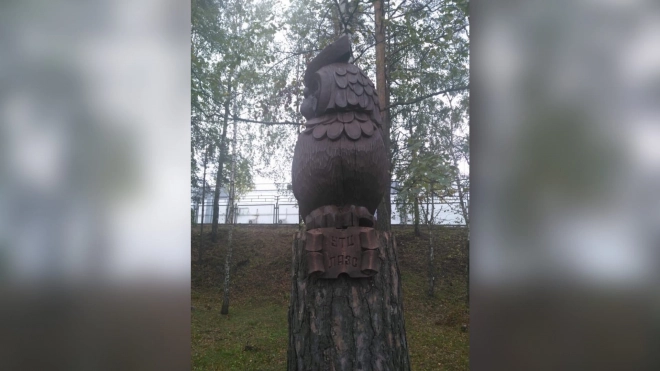 С территории ЛАЭС украли скульптуру деревянной совы