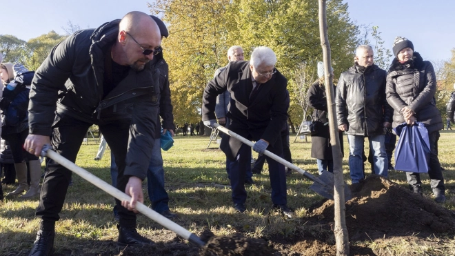 В сквере Памяти высадили 11 именных деревьев в честь погибших участников СВО