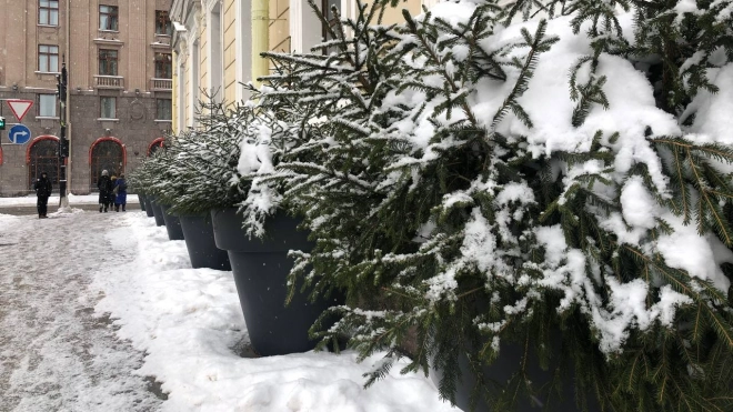 В Петербурге 16 января ожидается снег