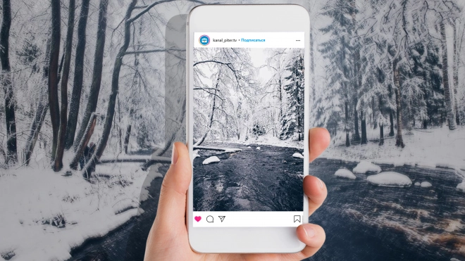 Огромные сугробы, ледяные блины и лиственницы: как Линдуловская роща стала главной Instagram-локацией этой зимы