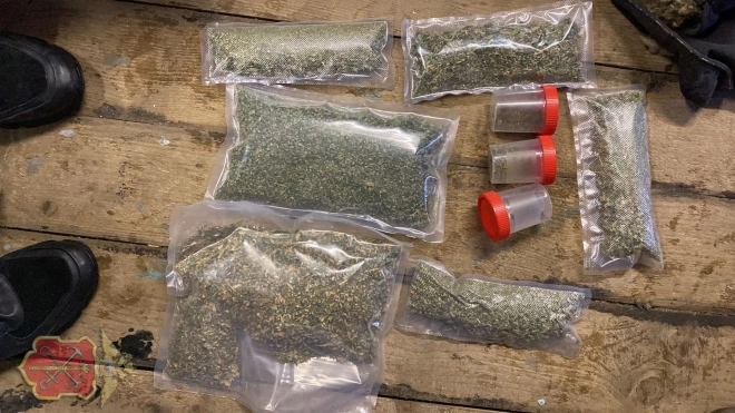 В квартире жителя Красного Села нашли полкилограмма марихуаны