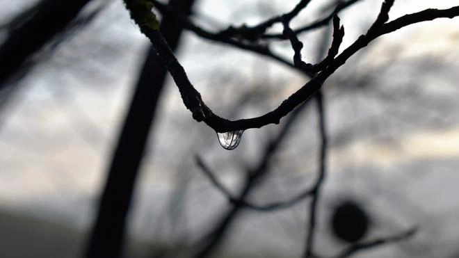 Благодаря циклону Frederic петербуржцы почувствуют 15 января дыхание весны