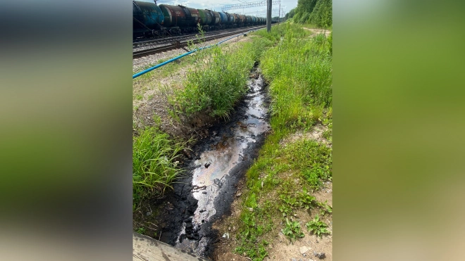 Росприроднадзор обнаружил разлив нефтепродуктов в Ленинградской области