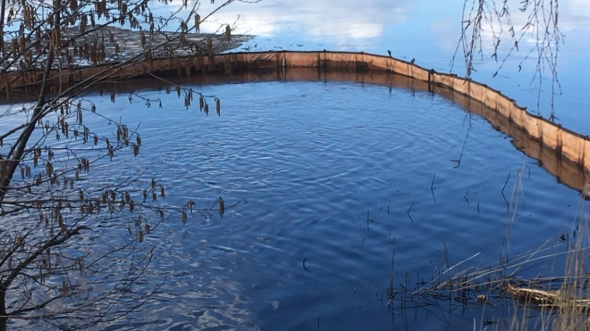 Неизвестные загрязнили нефтепродуктами Финский залив в Выборге