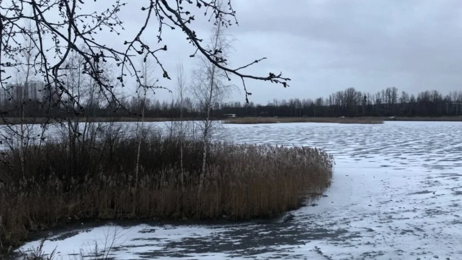 В МЧС предупредили о резком похолодании в Петербурге и области