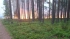 Парфенчиков: лесные пожары в Карелии планируется локализовать в субботу