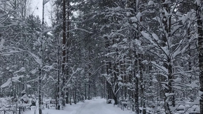 В Ленобласти 6 декабря в большинстве районов пройдёт снег