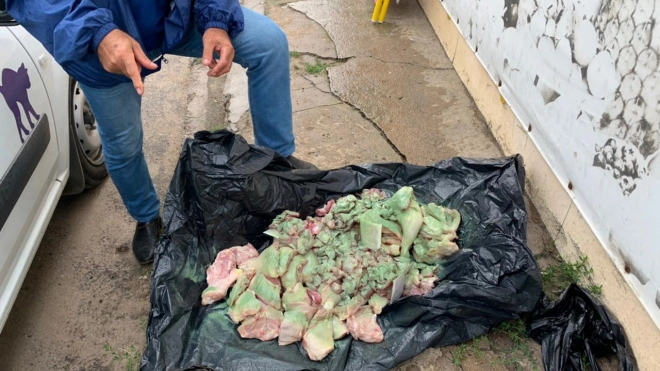 Рейды ветеринарной службы выявили 35 кг опасного мяса в торговых точках Ленобласти