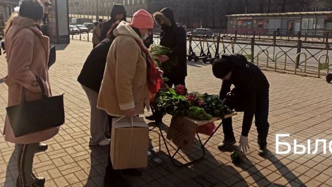 В Петербурге освободили 20 участков от незаконной уличной торговли