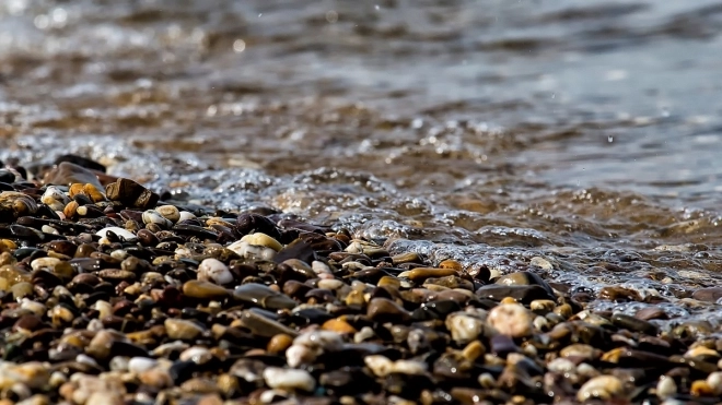 Рекордное число водоемов намерены очистить в Петербурге