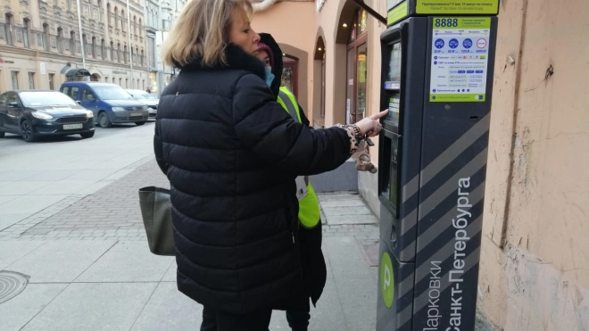 На улице Рубинштейна в 2021 году появятся дополнительные паркоматы