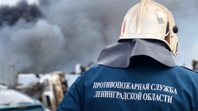 С начала 2022 года в Ленобласти при пожарах погибли 18 человек