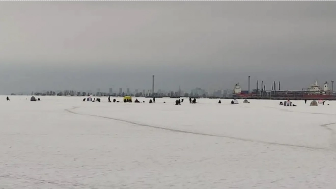 Сотни людей вышли на лед Финского залива в период оттепели