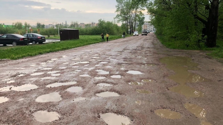 Жители поселка Детскосельский просят Путина отремонтировать Муромскую улицу 