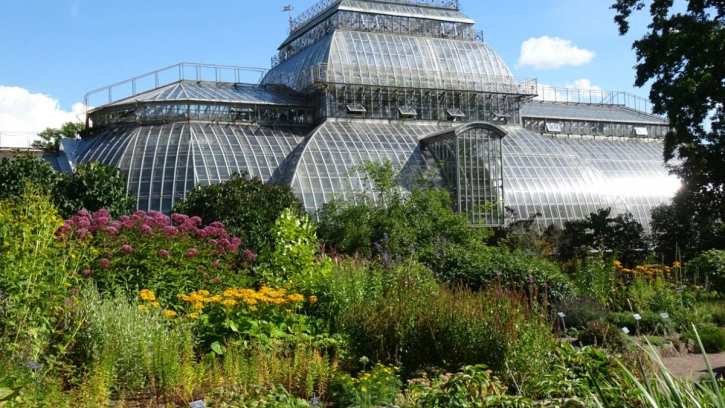 Ботанический сад в Петербурге временно закрывает оранжереи