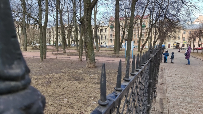 Парки и скверы Петербурга открыли после сильного ветра